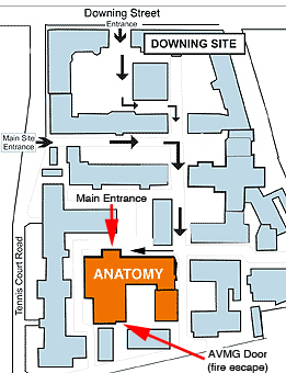 Franze lab map