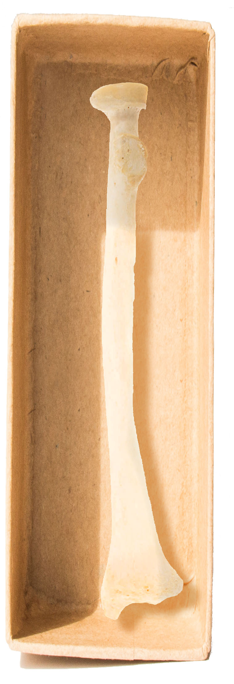  MG 2875