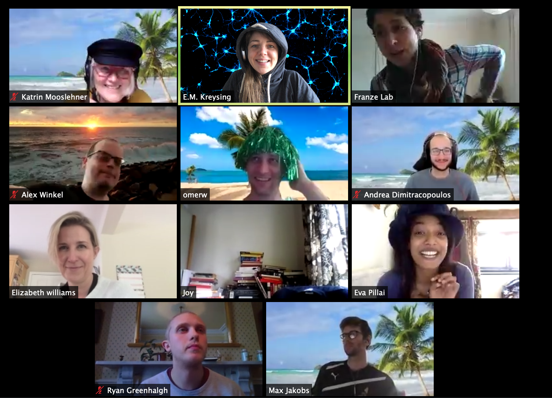 A screenshot of the Franze Lab in an online meeting