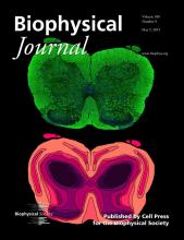 Cover BiophysJ