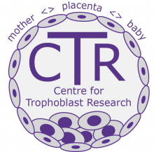 ctr logo.png