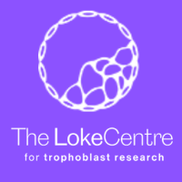 Loke CTR Logo