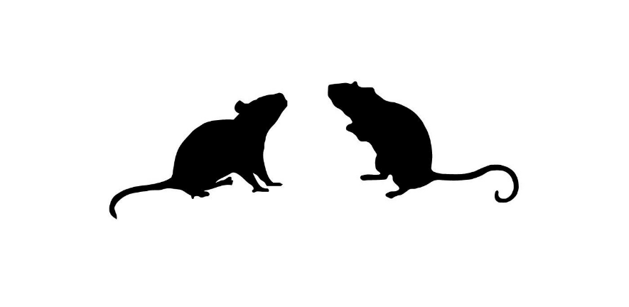 best-15-wpid-free-mice-silhouette-vector-image.jpg best-15-wpid-free-mice-silhouette-vector-image.jpg