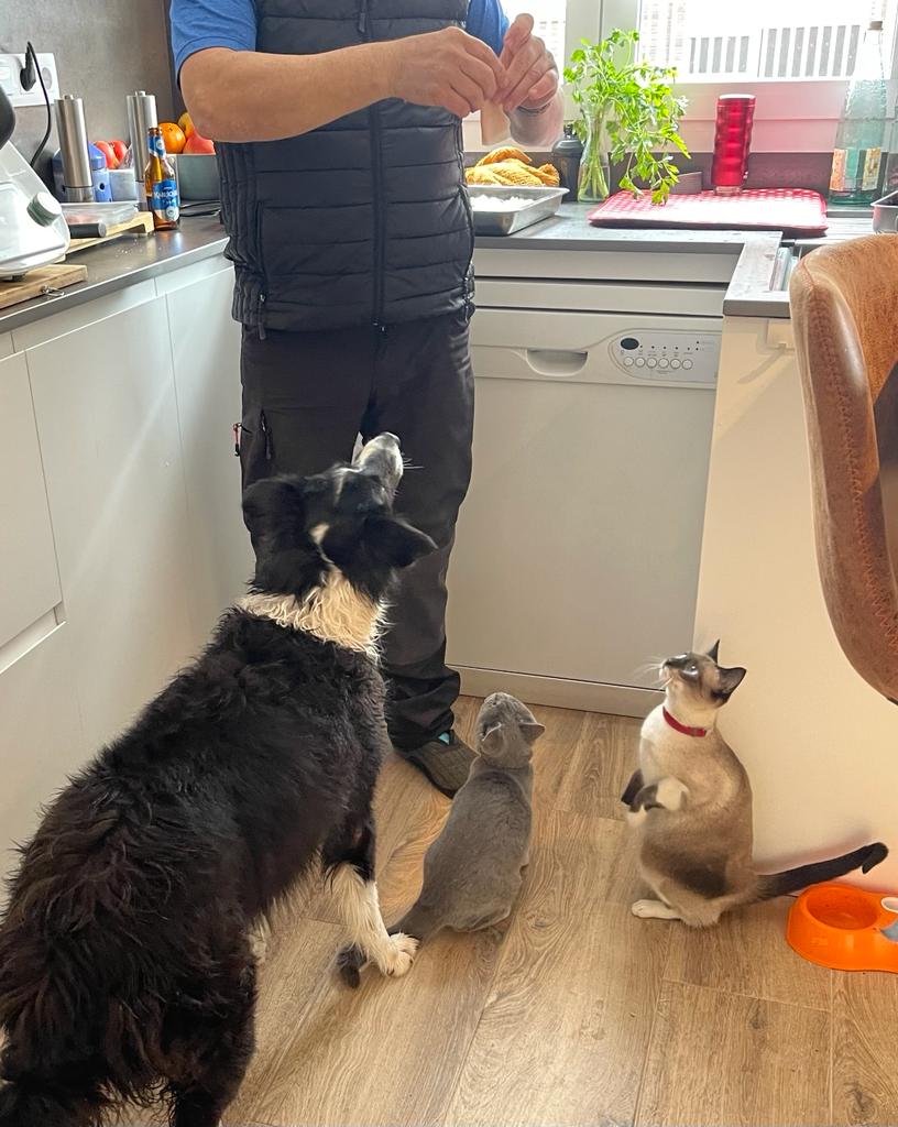 Giving treats Giving treats