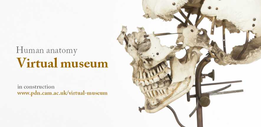 virtualmuseumcaro.png