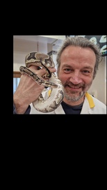 reptile handling