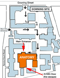 Franze lab map