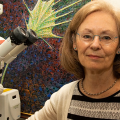 Professor Christine Holt seated next to a microscope, gently smiling at the camera