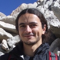 Prof. Dr. Albert Cardona