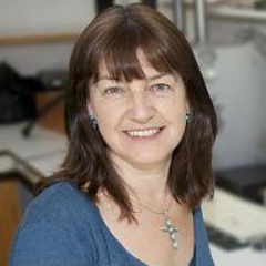 Professor Angela  Roberts