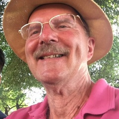 Professor Martin Johnson