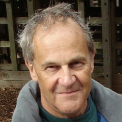 Professor Roger Carpenter