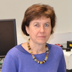 Professor Sarah Bray