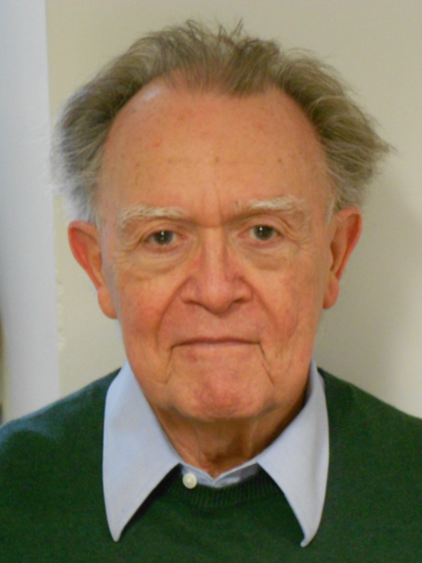 Dr Roy Patterson