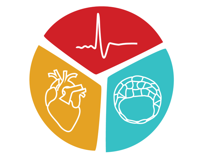 PDN Logo