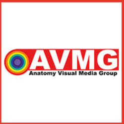 AVMG