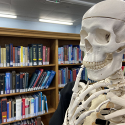 PDN Library