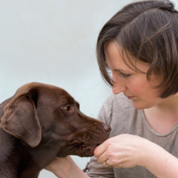 Dr Eleanor Raffan sitting with a chocolate brown labrador dog. One hand is stroking the dog, the other is feeding the dog a treat. 