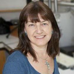 Picture of Professor Angela   Roberts