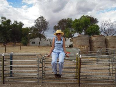 Picture of Professor Jenny  Morton
