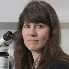 Professor Andrea Brand's picture