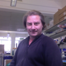 Octavian Voiculescu's picture