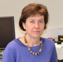 Prof. Sarah Bray's picture