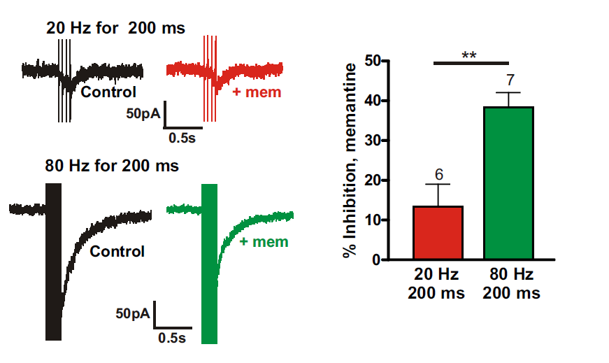 The use-dependent NMDA receptor antagonist, memantine reduces NMDA receptor mediated synaptic currents in response to high frequency stimulation, but not those in response to low frequency stimulation. From Wild et al., 2013.