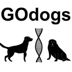 GOdogs Project