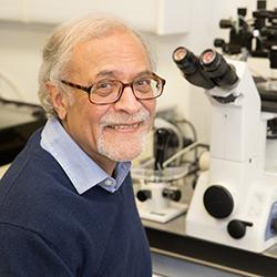 Azim Surani to receive coveted Canada Gairdner International Award for discovery of genomic imprinting 
