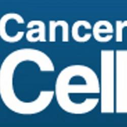 Harder for T cells to fight cancer in absence of VEGF-A