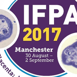 PDN members awarded prizes at IFPA 2017