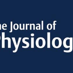 Sildenafil therapy for fetal cardiovascular dysfunction during hypoxic development: studies in the chick embryo