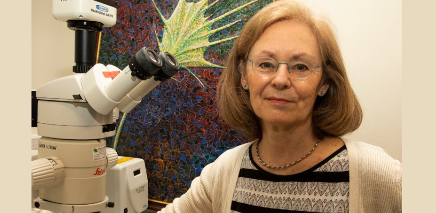 Professor Christine Holt seated next to a microscope, gently smiling at the camera