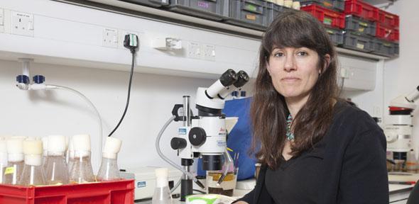 Andrea Brand awarded Royal Society Research Professorship 