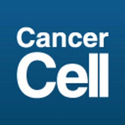 Harder for T cells to fight cancer in absence of VEGF-A