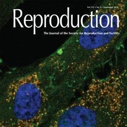 Hiat1 gene is required for male fertility in mice