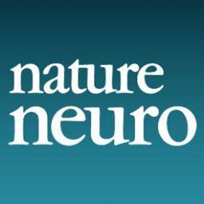 Neurons feel the force – physical interactions control brain development