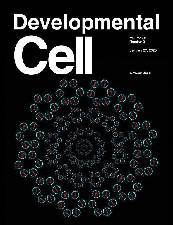 New study by Ewa Paluch's lab makes cover of Developmental Cell