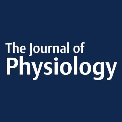 Sildenafil therapy for fetal cardiovascular dysfunction during hypoxic development: studies in the chick embryo